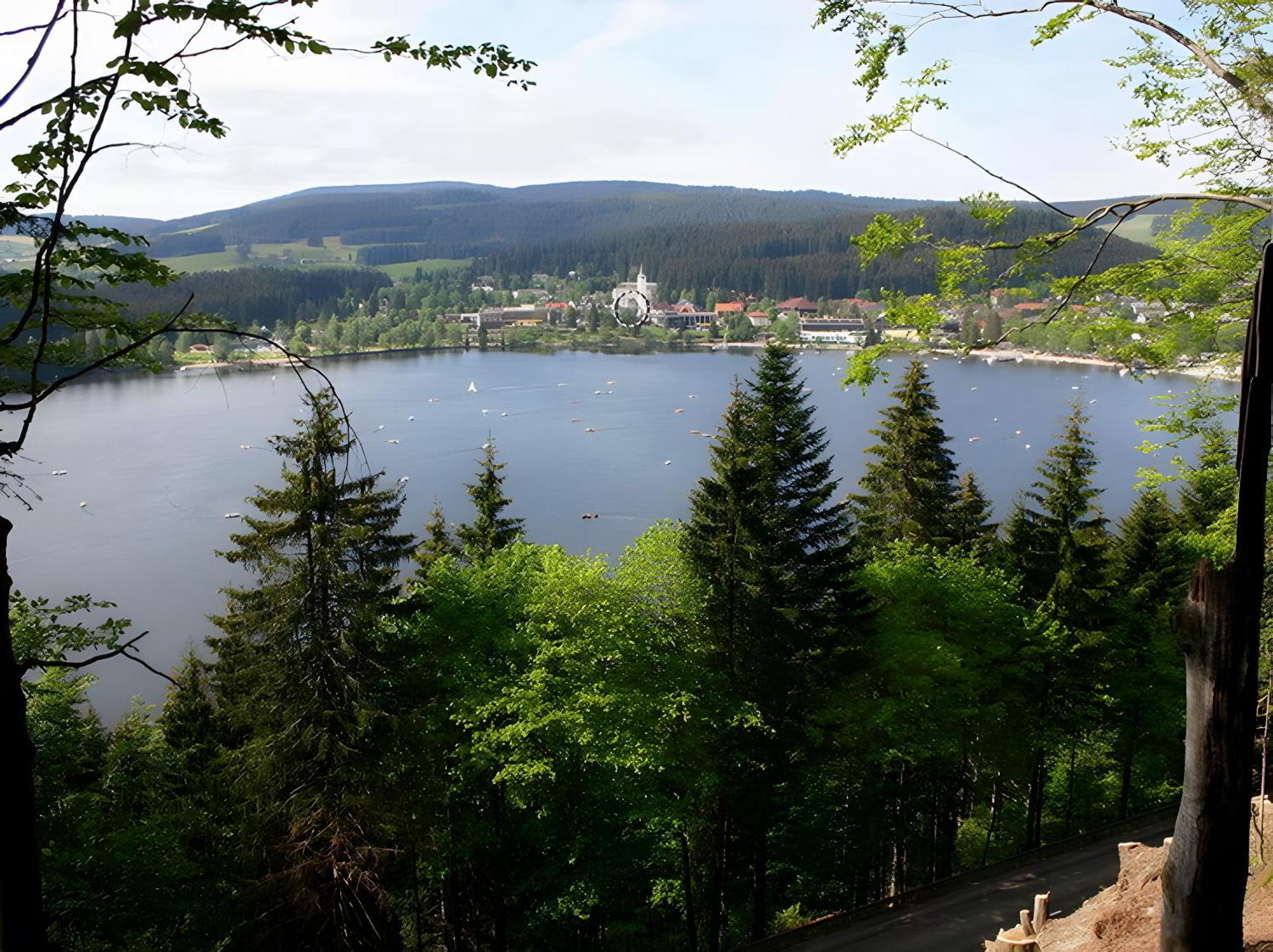 Haus Am Tannenhain Titisee-Neustadt Dış mekan fotoğraf