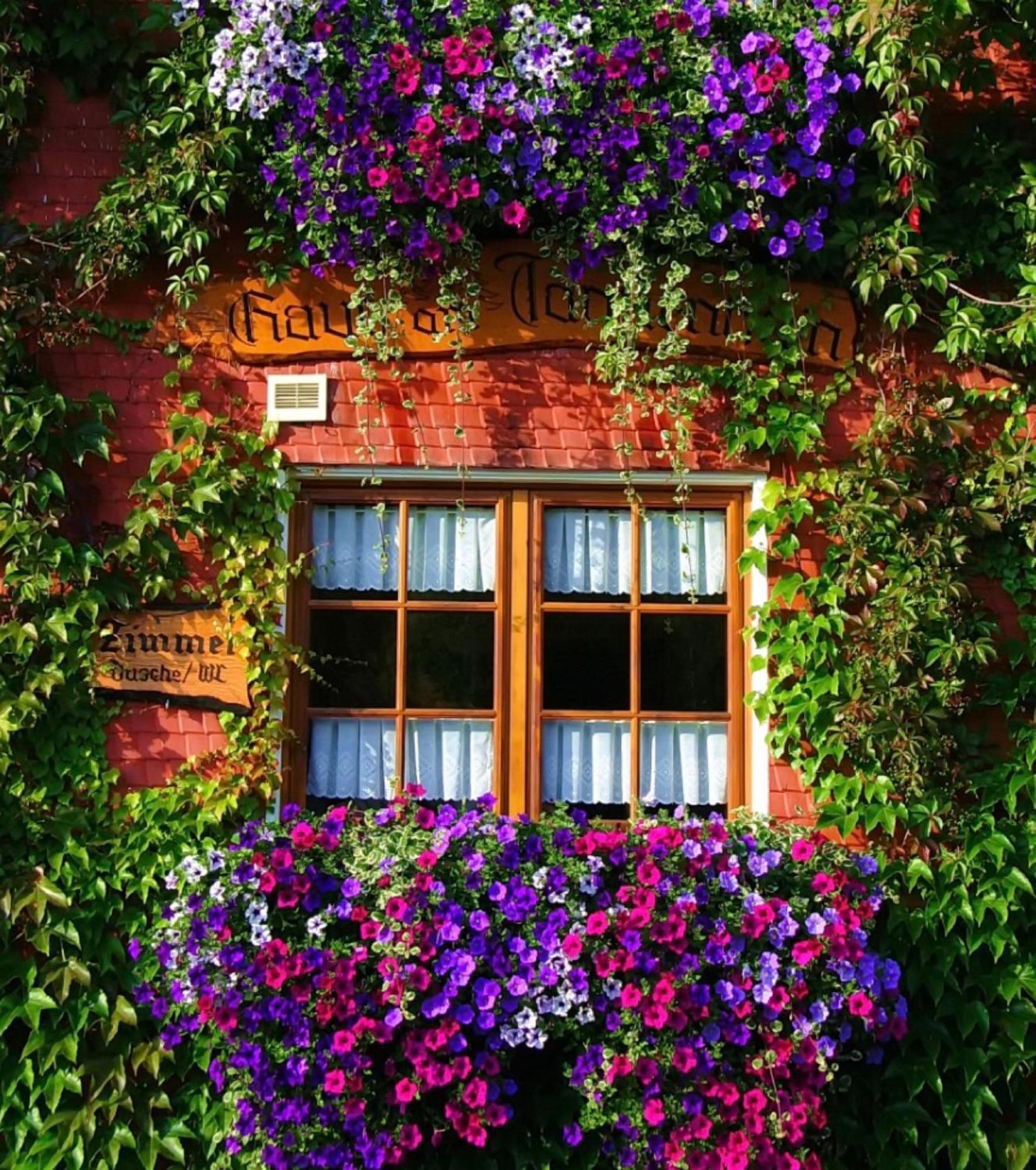 Haus Am Tannenhain Titisee-Neustadt Dış mekan fotoğraf